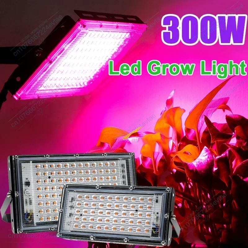 LED Ĺ  , ½ ,   , LED ü Ʈ, 220V, 50W, 300W